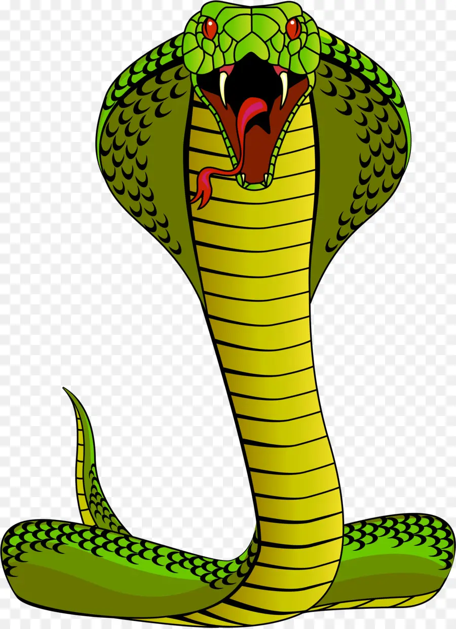 Royaltyfree，A Cobra Rei PNG