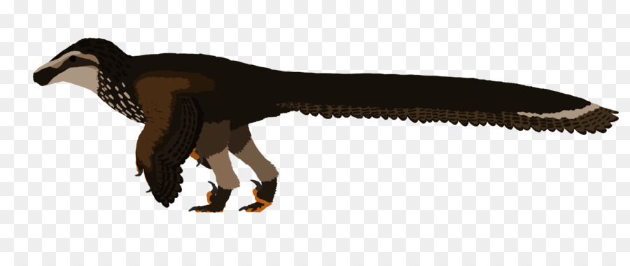 Dinossauro Emplumado，Pré Histórico PNG