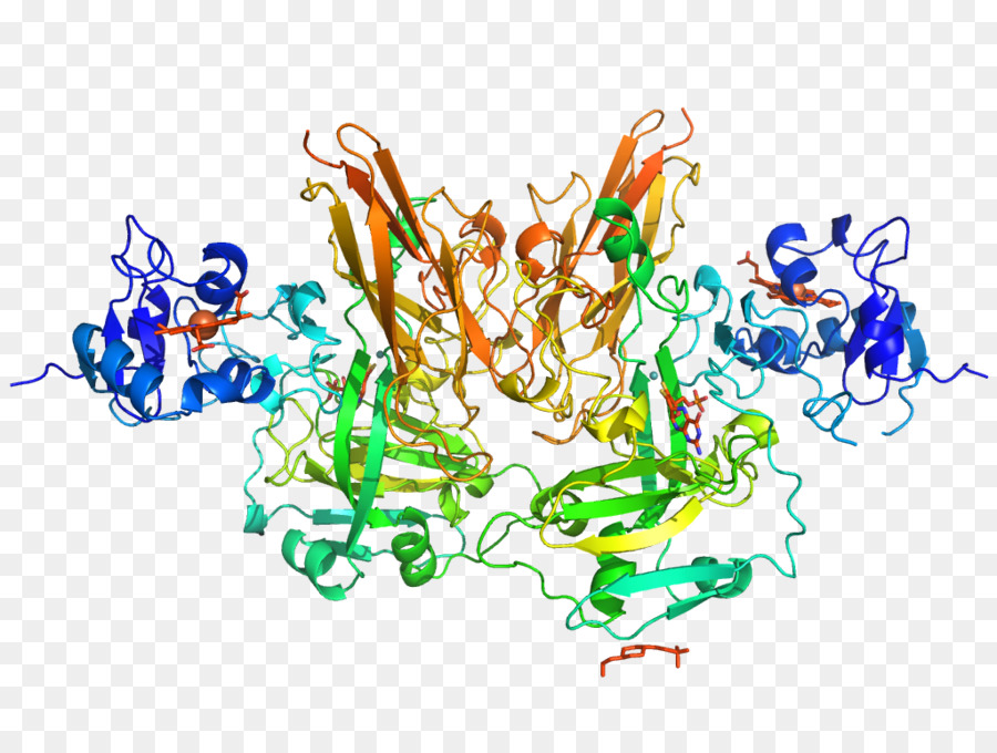 Sulfito Oxidase，Enzima PNG