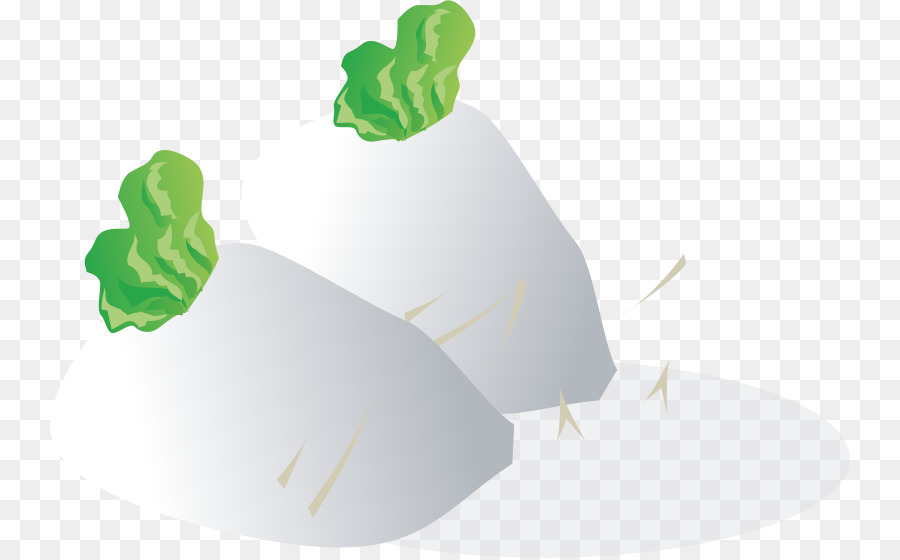 Daikon，Alimentos PNG