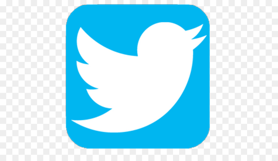 Logotipo Do Twitter，Mídia Social PNG