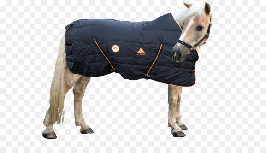 Cavalo，Cobertor PNG