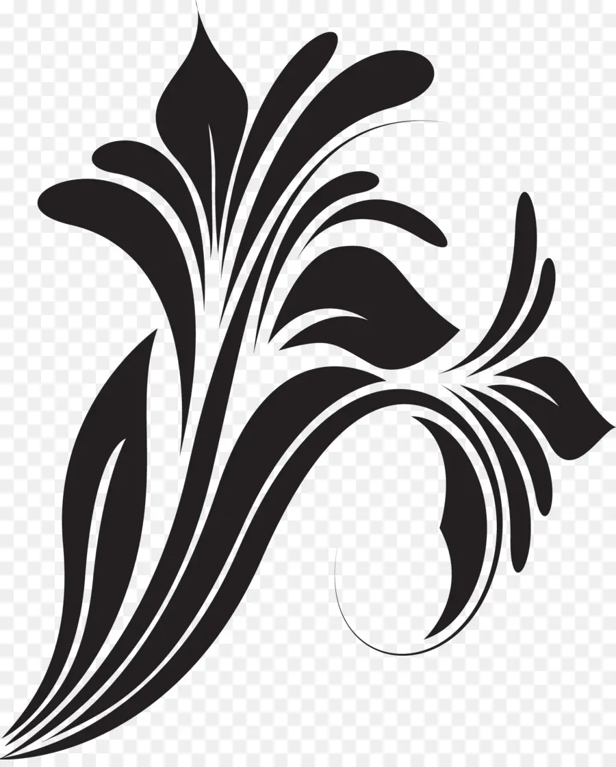 Desenho Floral，Preto PNG