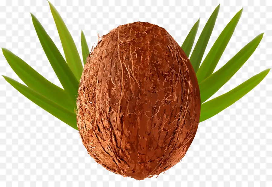 água De Coco，Bolo De Coco PNG