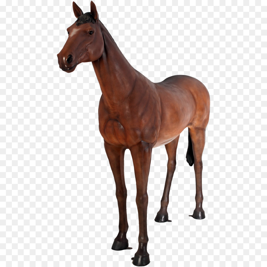 Cavalo Marrom，Equino PNG