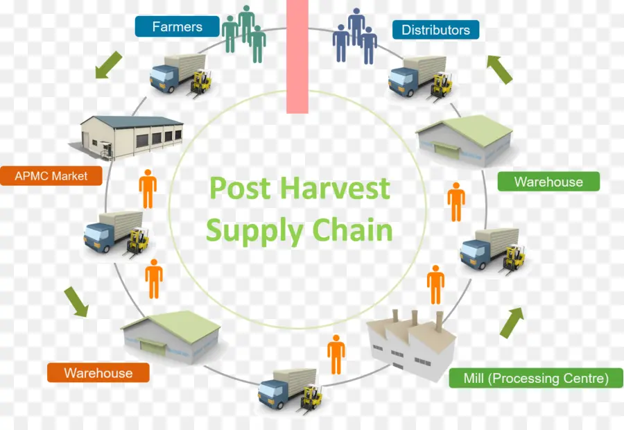 Cadeia De Suprimentos Pós Colheita，Agricultores PNG