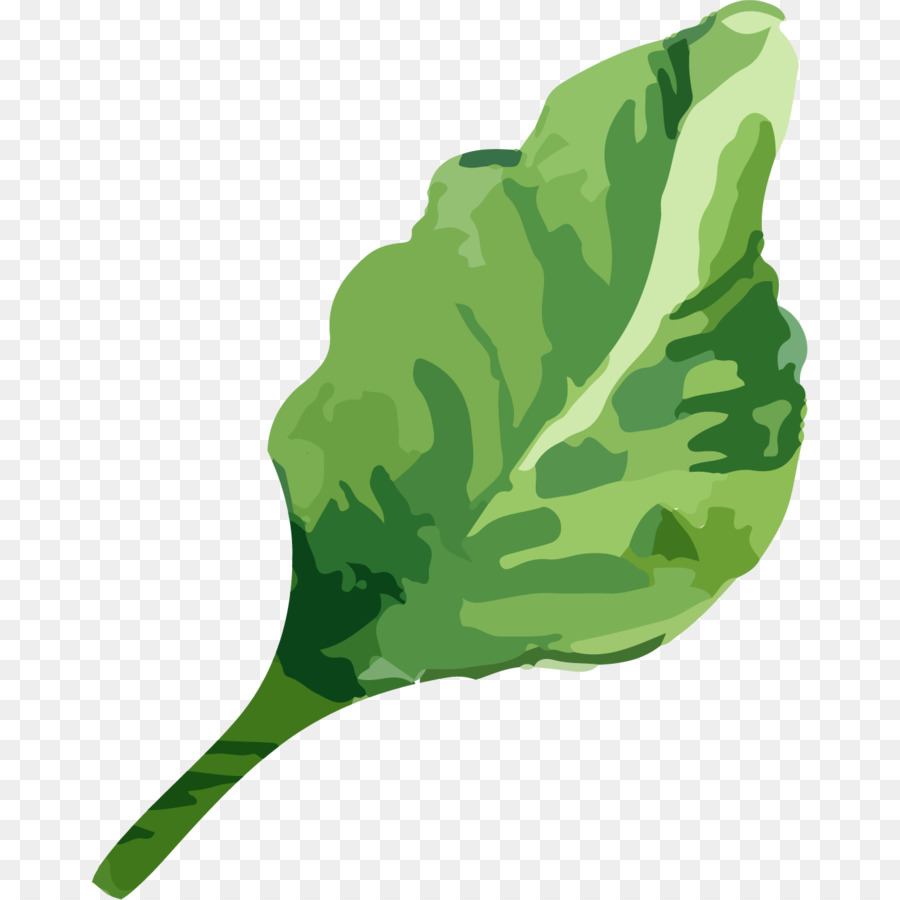 Vegetais De Folhas Verdes，Folha PNG