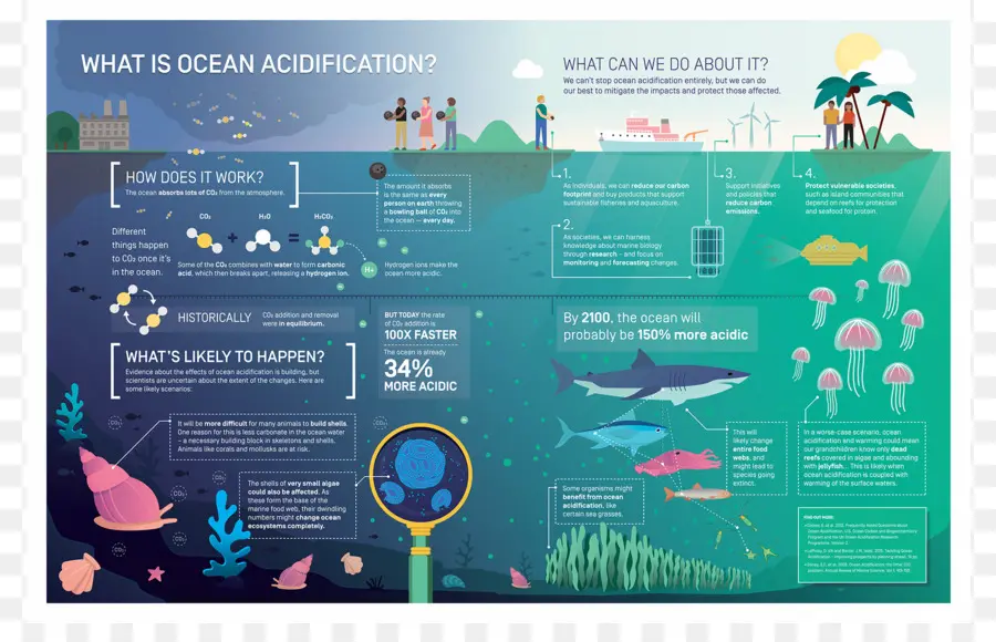 A Acidificação Dos Oceanos，Oceano PNG