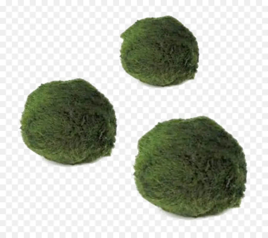 Bolas De Musgo，Verde PNG