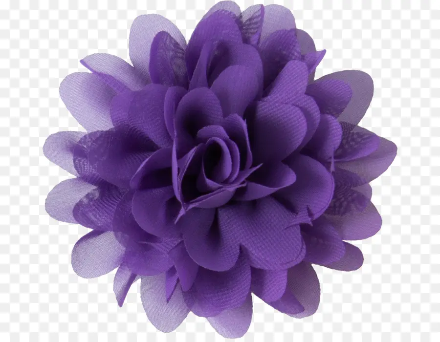 Roxo，Flor PNG