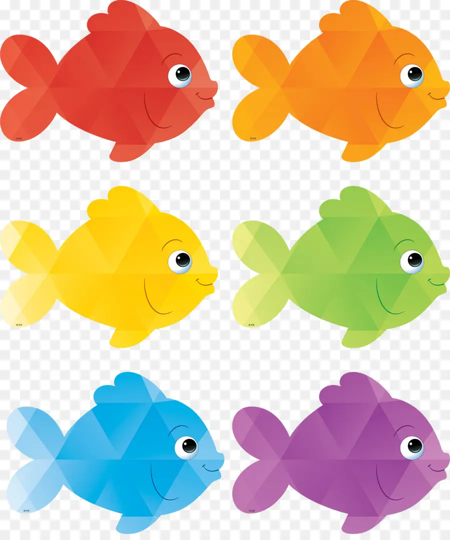 Peixe，Cor PNG