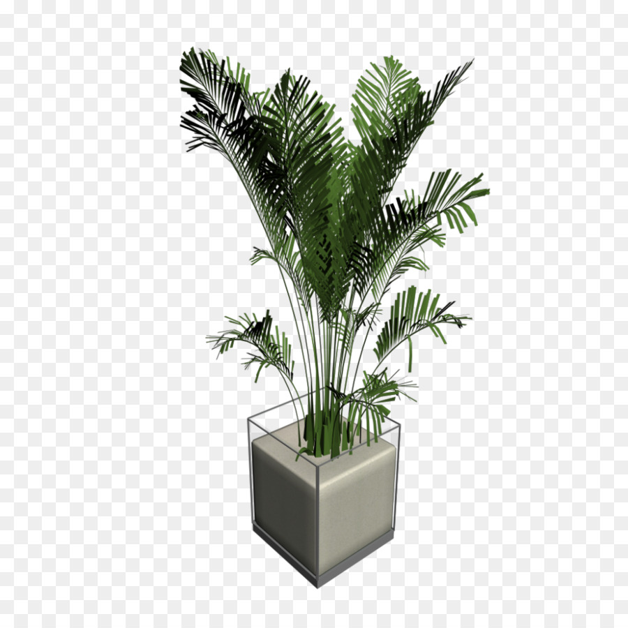 Plantar，Verde PNG