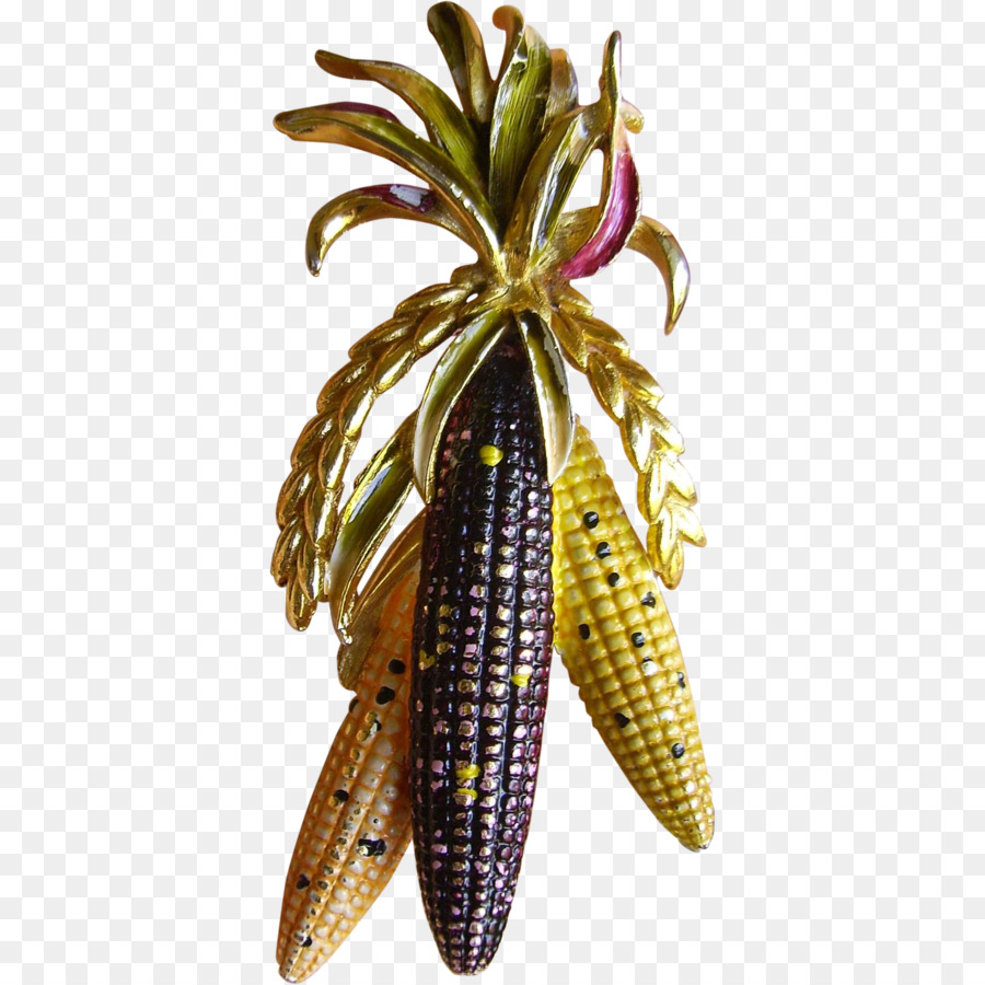 Planta，Frutas PNG