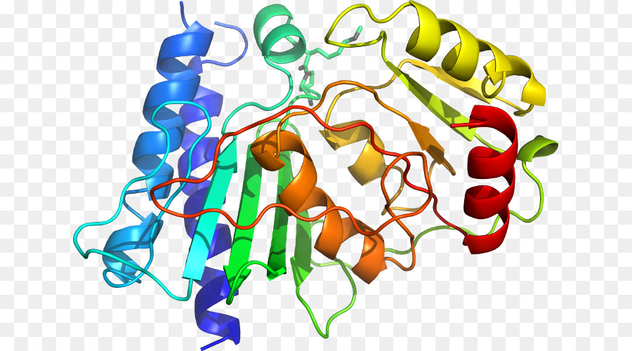 Estrutura Proteica Colorida，Proteína PNG