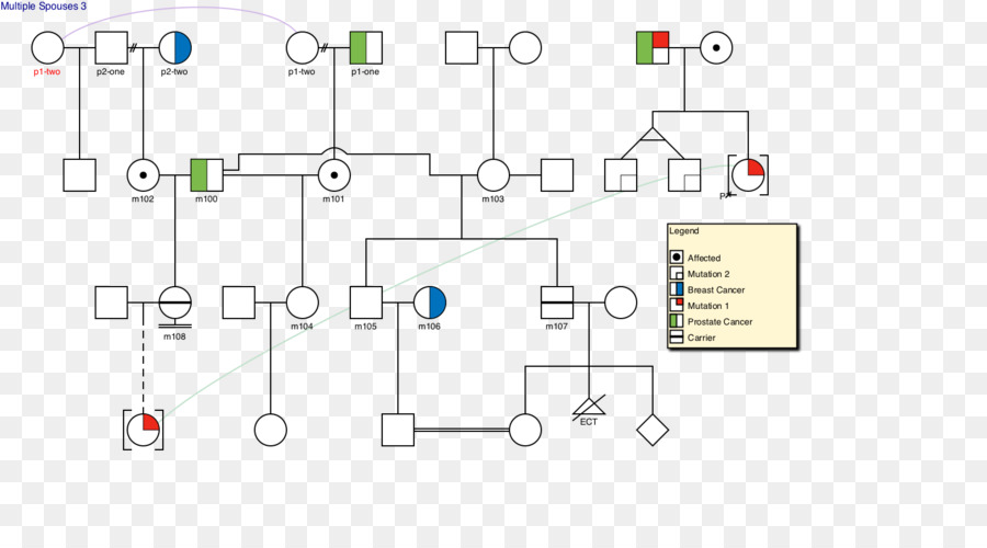 Diagrama De，Gráfico De Linhagem PNG