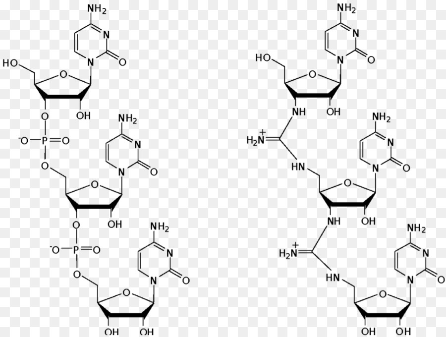 Estrutura Química，Molécula PNG