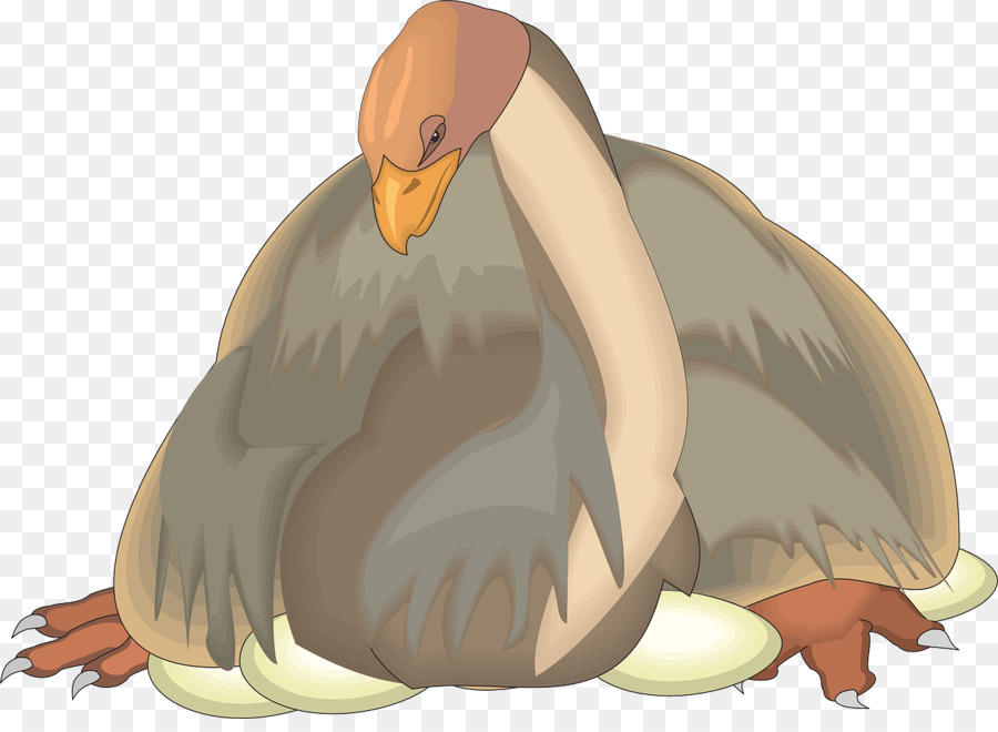 Aves，Pato PNG