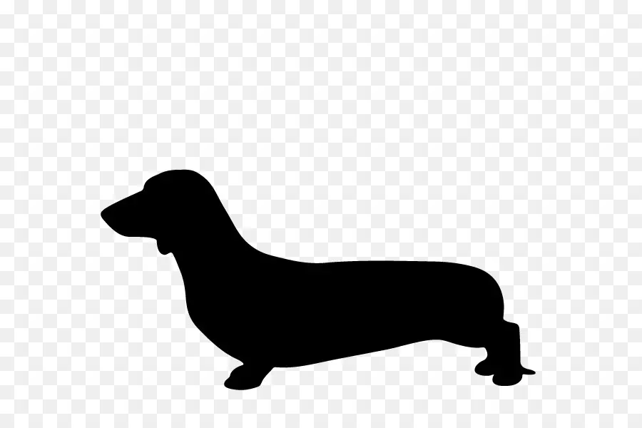 Dachshund，Filhote De Cachorro PNG