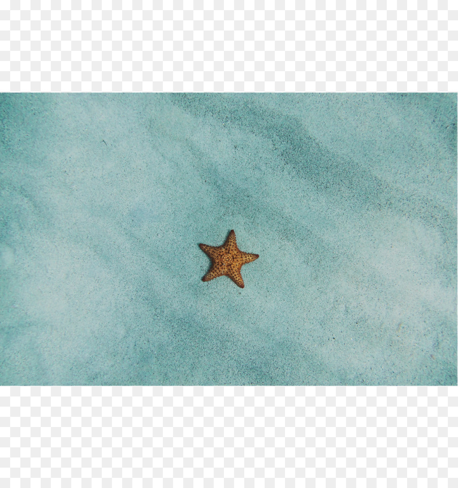 Estrela Do Mar，Turquesa PNG