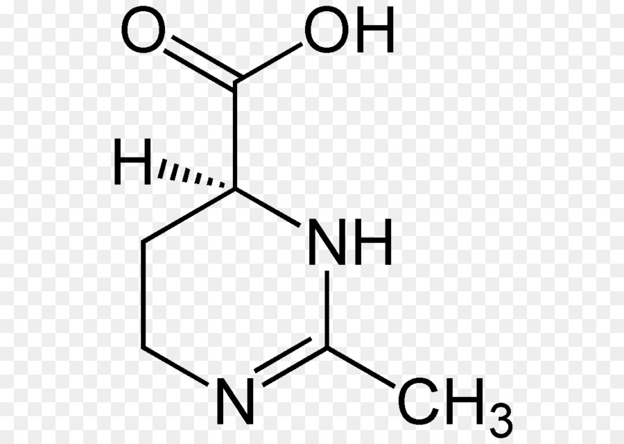 Estrutura Química，Molécula PNG