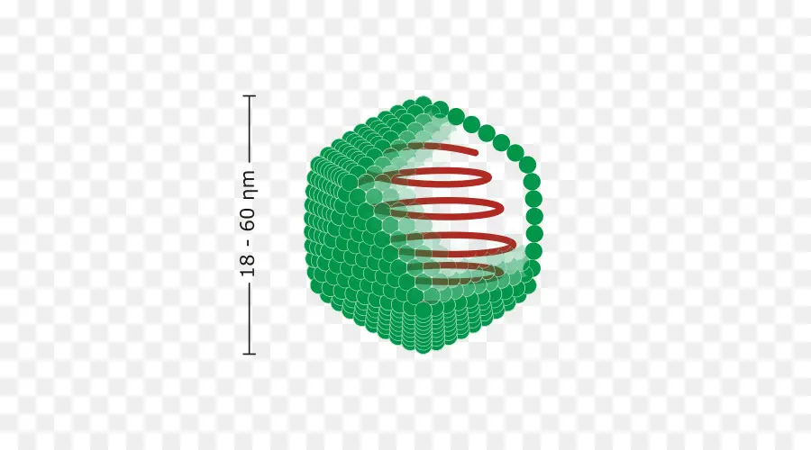 Nanopartícula，Nanotecnologia PNG