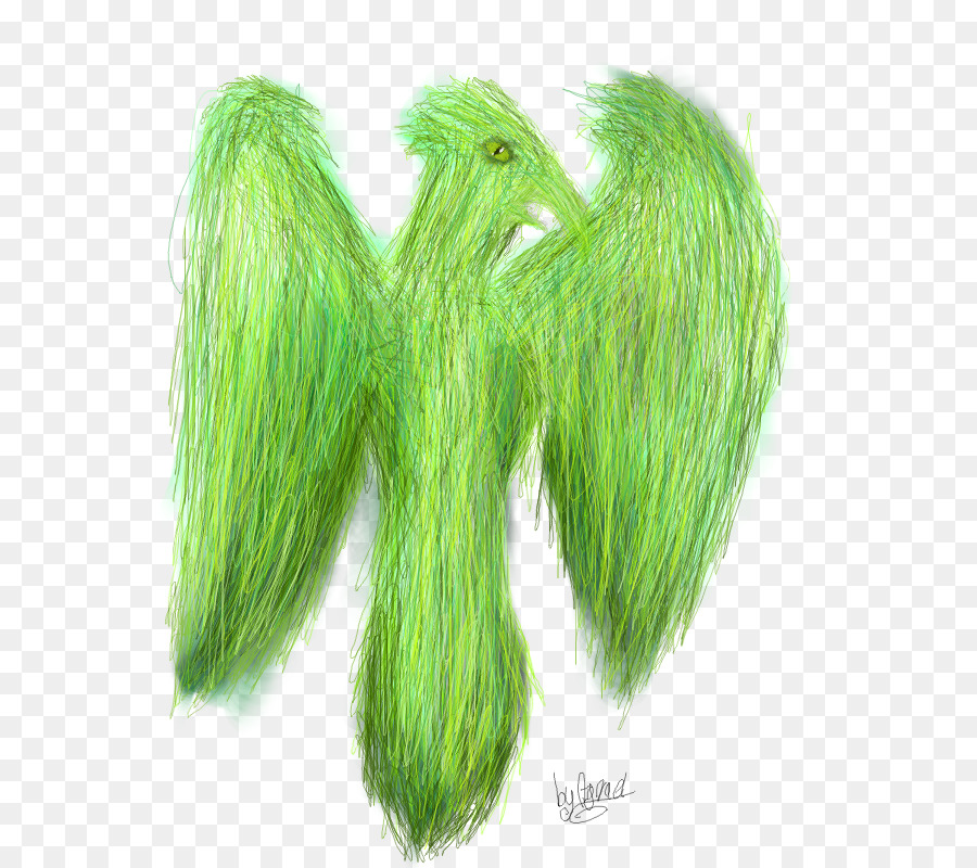 Verde，Pele PNG