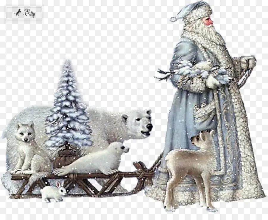 Papai Noel Com Animais，Urso Polar PNG