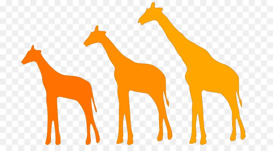 Girafa，Lamarckism PNG