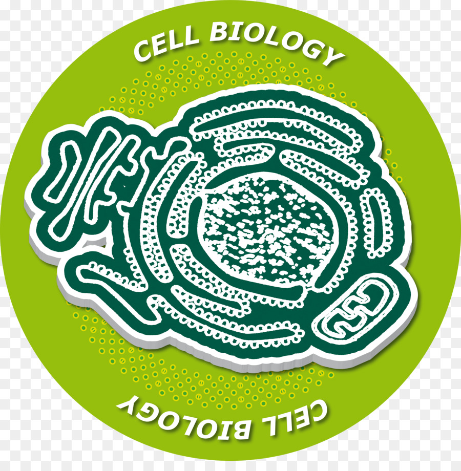 Laboratório De Biologia Molecular，Doutor Em Filosofia PNG