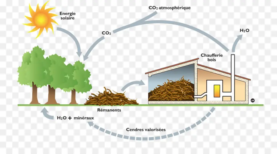 Biomassa，Energia PNG