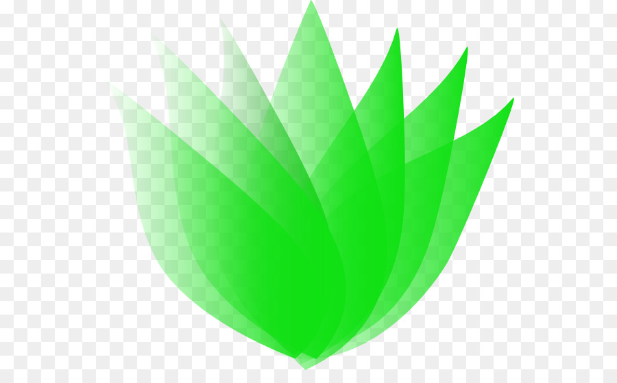 Plantar，Folhas PNG