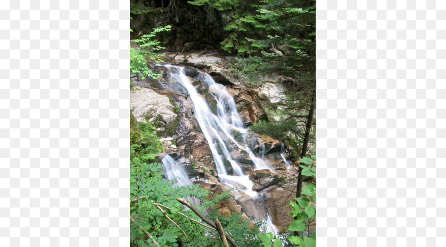 Cachoeira，Vegetação PNG