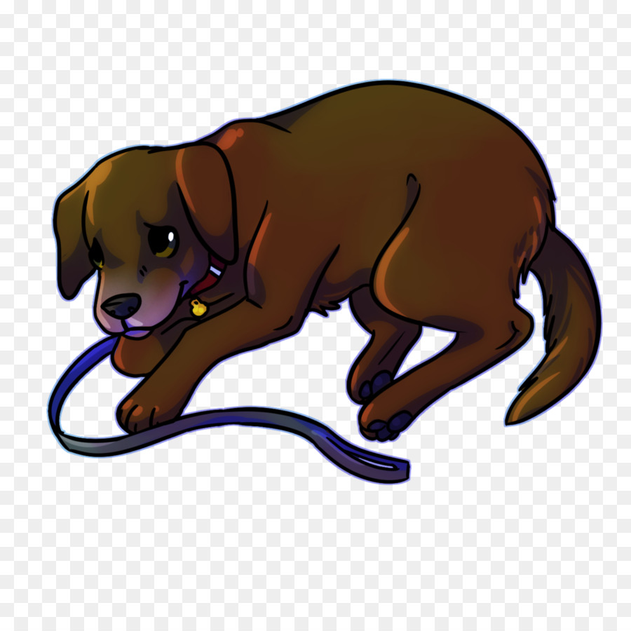 Raça Do Cão，Filhote De Cachorro PNG