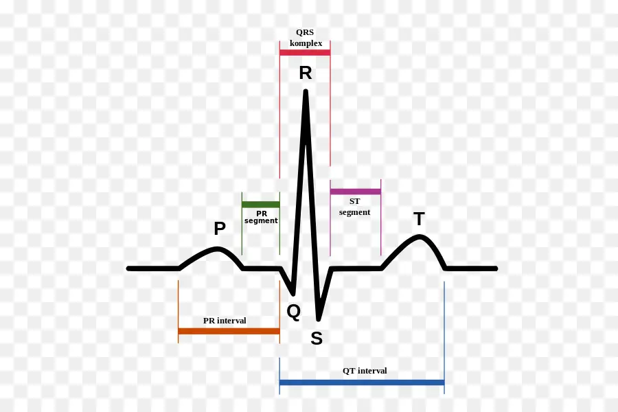 Ecg，Coração PNG