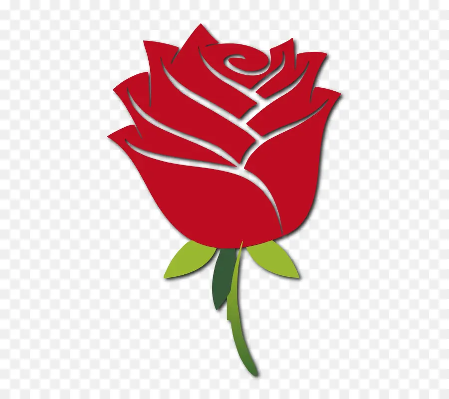 Rosa Vermelha，Tronco PNG