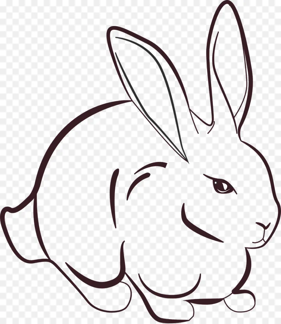 Miffy，Arte De Linha PNG