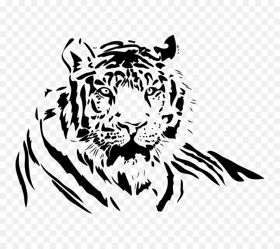 Tigre，Tigre Branco PNG