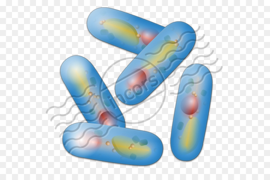 ícones Do Computador，Bactérias PNG