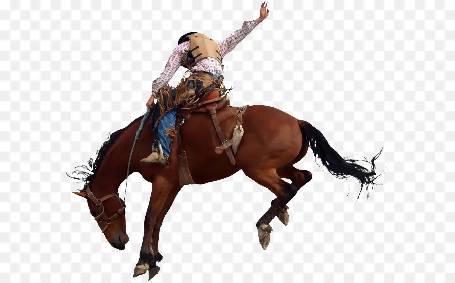Cavalo，Rodeio PNG