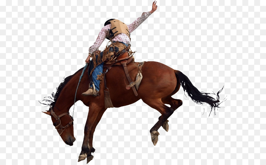 Fundo Passeios De Caubói Bucking Cavalo De Rodeio Buck áspero Empoeirado  Foto E Imagem Para Download Gratuito - Pngtree