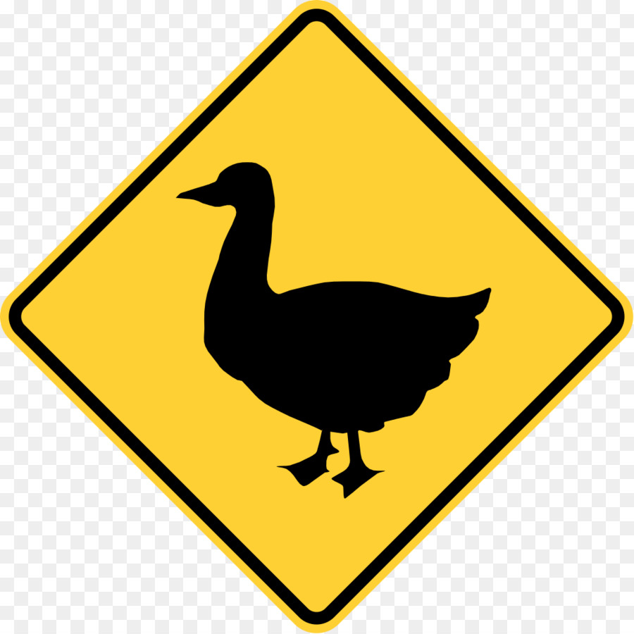 Pato，Pato Travessia PNG