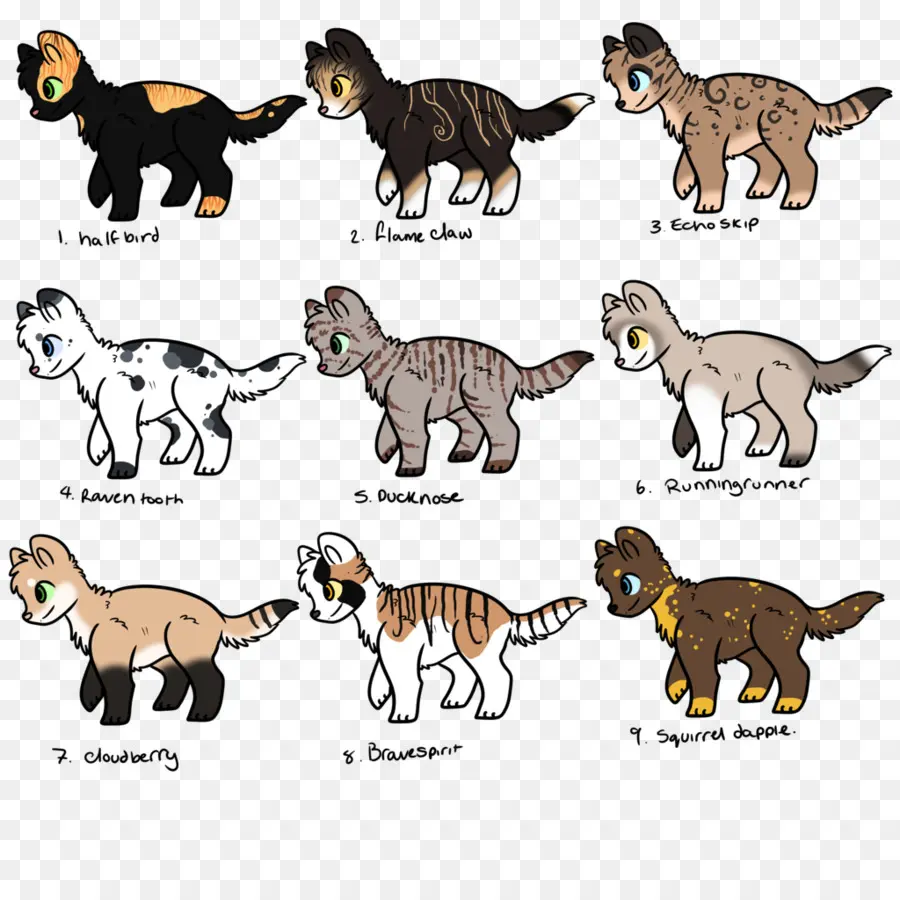 Gatos Fofos，Gatinhos PNG