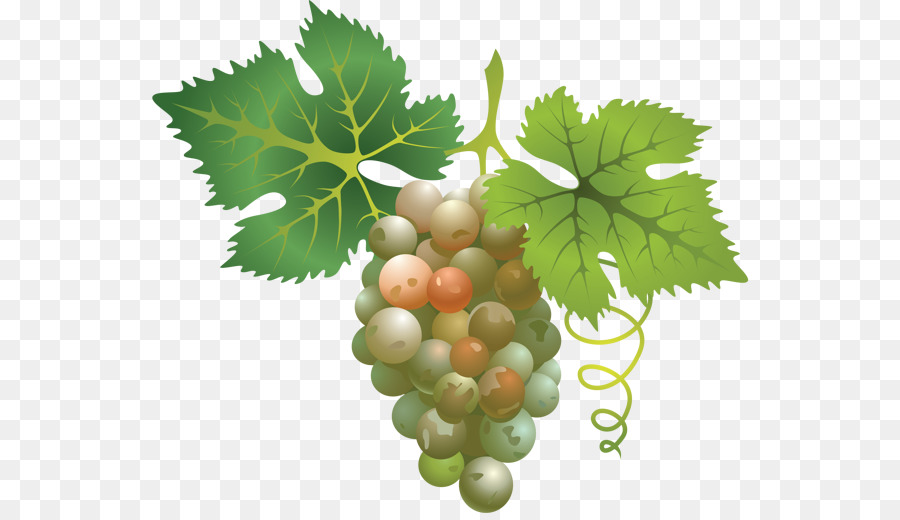 Uvas Verdes，Folha PNG