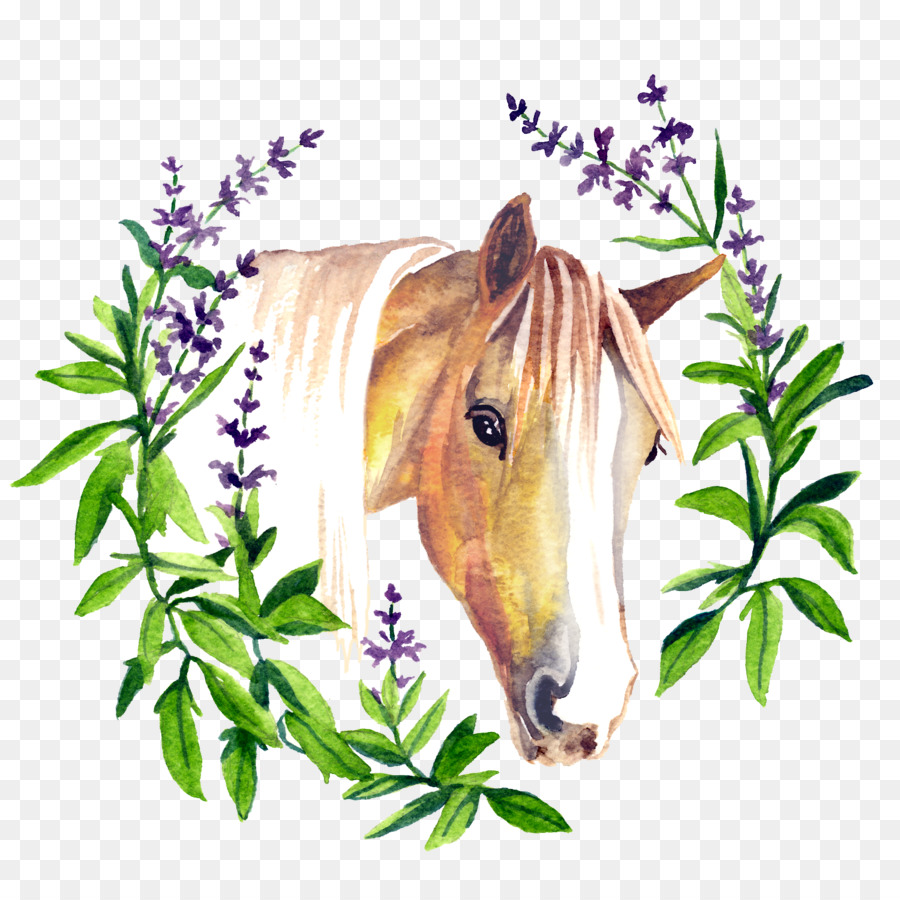 Cavalo Com Flores，Equino PNG