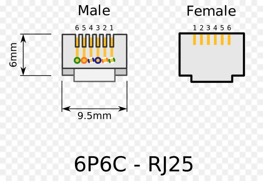 Conector Rj25，Macho PNG