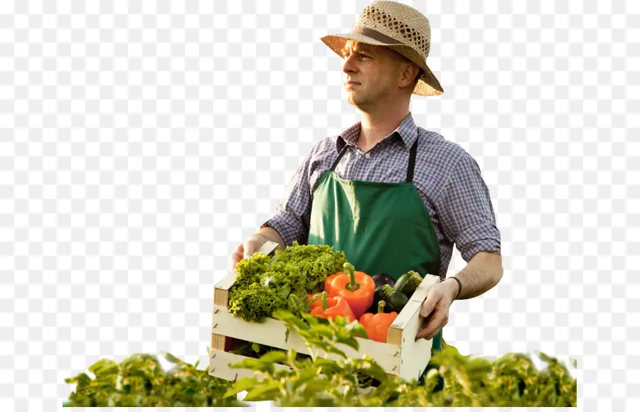 Agricultor，Vegetais PNG