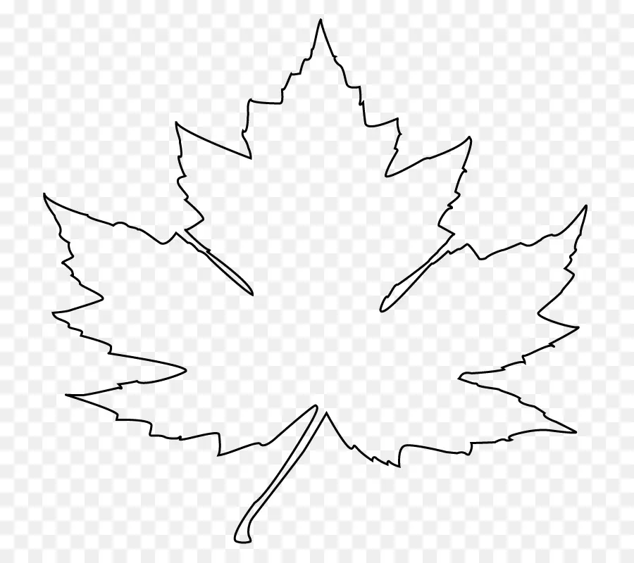 Maple Leaf，Desenho PNG