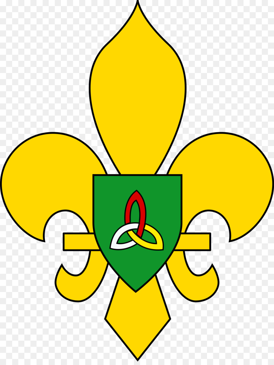 Associação De Escoteiros De Irlanda，Escotismo PNG