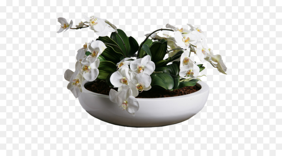 Flowerpot，Orquídeas PNG