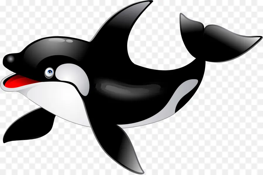 Orca，Baleia PNG